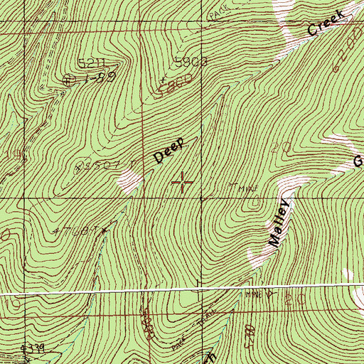 Topographic Map of Liquidator Mine, MT