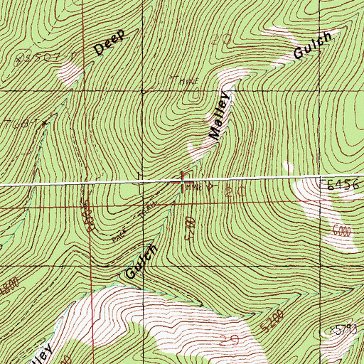 Topographic Map of Gold King Mine, MT