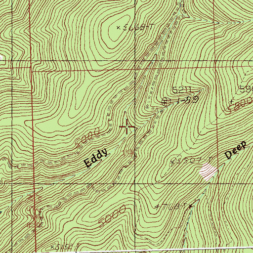 Topographic Map of Lower Eddy Creek Mine, MT