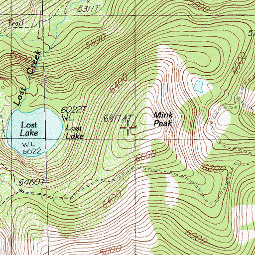 Topographic Map of Mink Peak Mine, MT