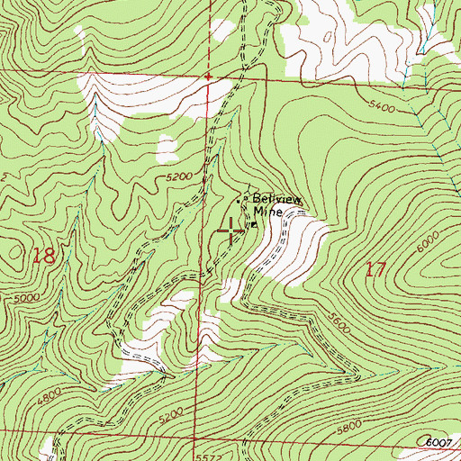 Topographic Map of Bellview/Silver Bell Mine, MT