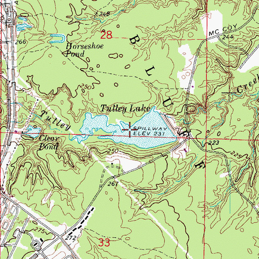 Topographic Map of Tulley Lake, AR