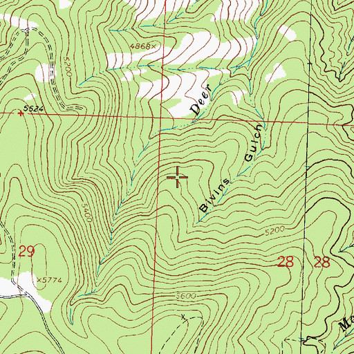 Topographic Map of Comet Mine, MT