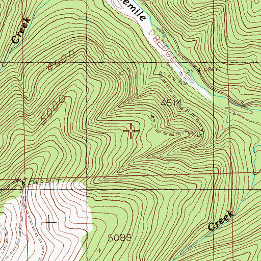 Topographic Map of Lower Ninemile Mine, MT