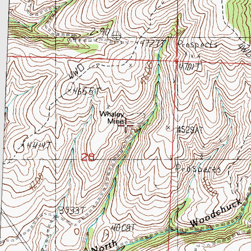 Topographic Map of Whaley Mine, MT