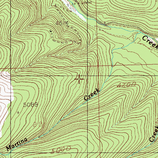 Topographic Map of Martina Creek Mine, MT