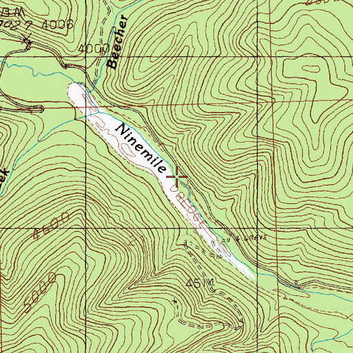 Topographic Map of Ninemile Creek Mine, MT