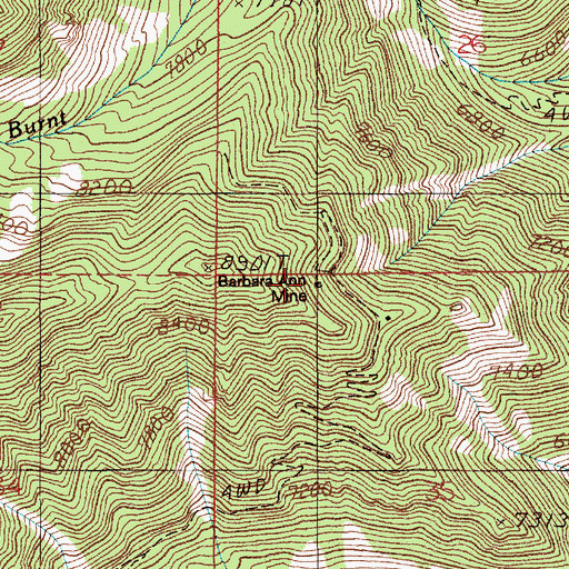 Topographic Map of Barbara Ann Mine, MT