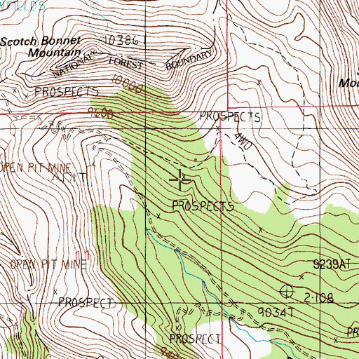 Topographic Map of Gold Dust Mine, MT