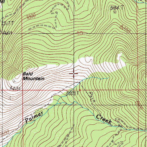 Topographic Map of Bald Mountain Mine, MT