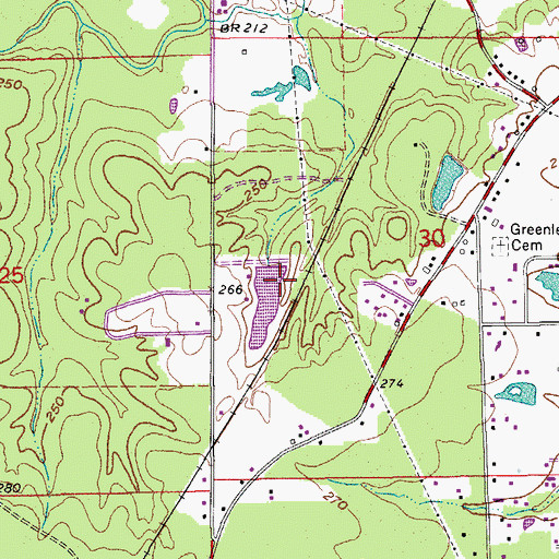 Topographic Map of Neely Lake Dam, AR