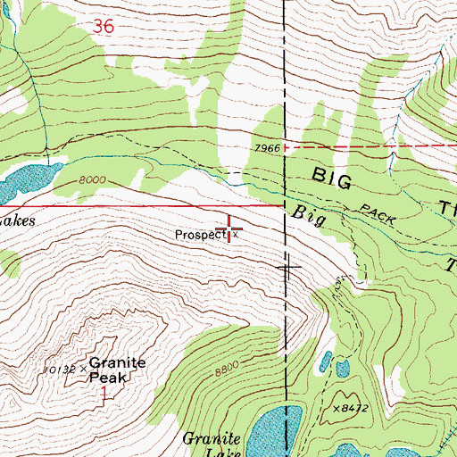 Topographic Map of Stemwinder Mine, MT