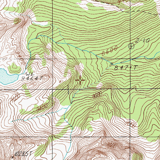 Topographic Map of Speculator Creek Mine, MT