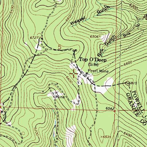 Topographic Map of Pearl Mine, MT