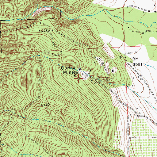 Topographic Map of Curlew Mine, MT