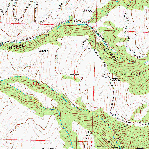 Topographic Map of SW NW Section 16 Mine, MT