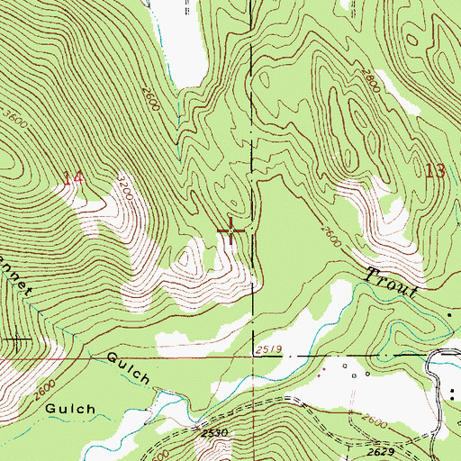 Topographic Map of White Penny Mine, MT