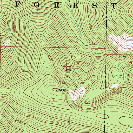 Topographic Map of Fish Creek/Electrum Mine, MT