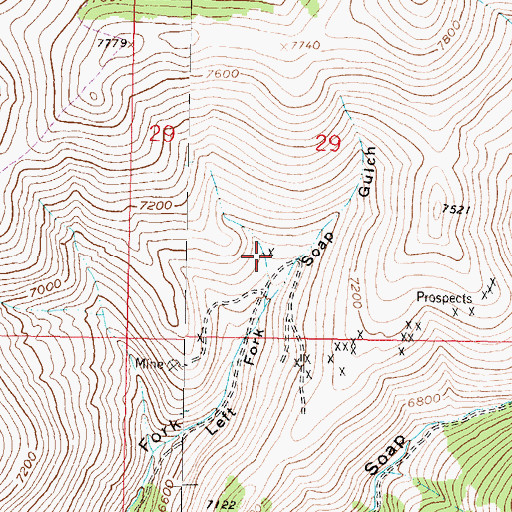 Topographic Map of SE SW Section 29 Mine, MT