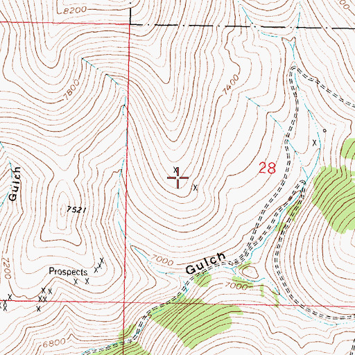 Topographic Map of NW SW Section 28 Mine, MT