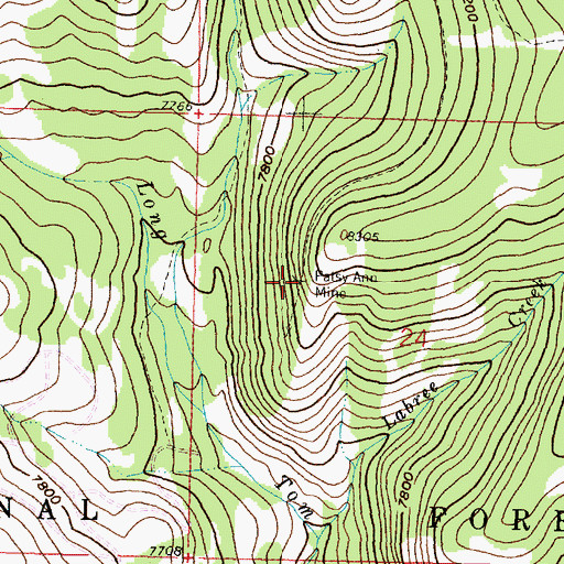 Topographic Map of Patsy Ann Mine, MT