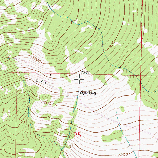 Topographic Map of Old Tom Horn Mine, MT