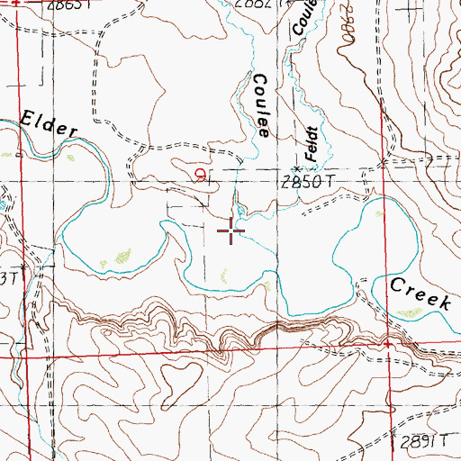 Topographic Map of Feldt Coulee, MT