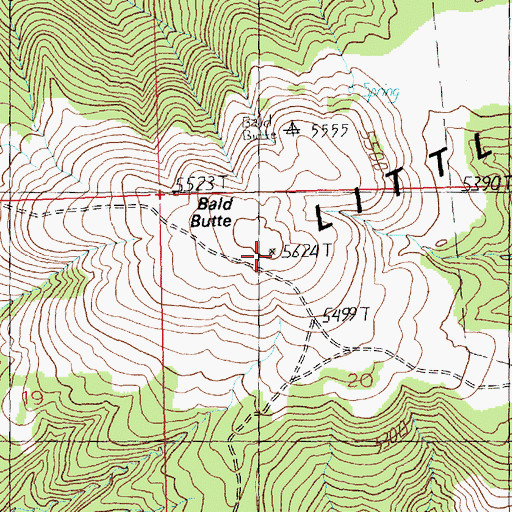 Topographic Map of Bald Butte, MT