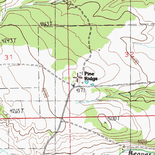Topographic Map of Pine Ridge, MT
