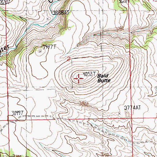 Topographic Map of Bald Butte, MT