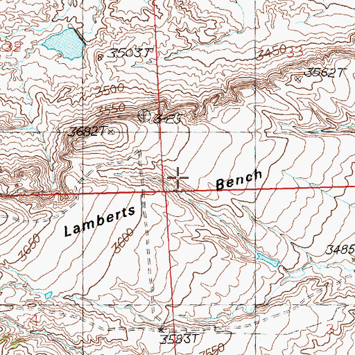 Topographic Map of Lamberts Bench, MT