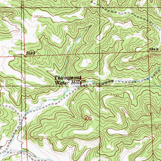 Topographic Map of Thompsons Water Hole, MT