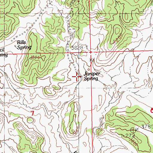 Topographic Map of Juniper Spring, MT