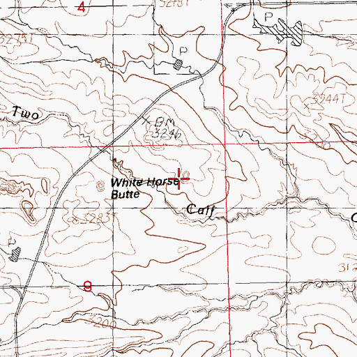 Topographic Map of White Horse Butte, MT