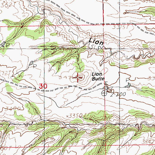 Topographic Map of Lion Butte, MT