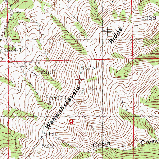 Topographic Map of Wahwahskaysiw Ridge, MT