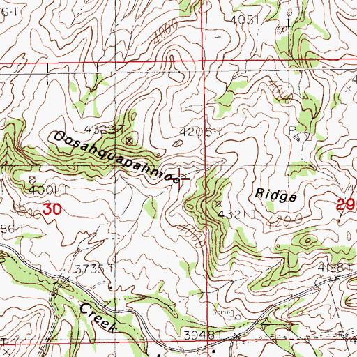 Topographic Map of Oosahquapahmoo Ridge, MT