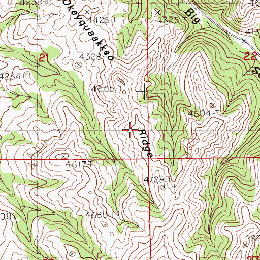 Topographic Map of Okeyquaakkeo Ridge, MT