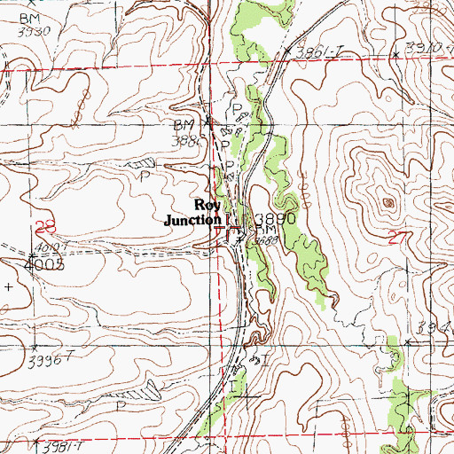 Topographic Map of Roy Junction, MT