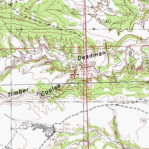 Topographic Map of Burnt Timber Coulee, MT