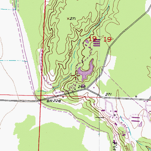 Topographic Map of Cargill Pond Dam, AR