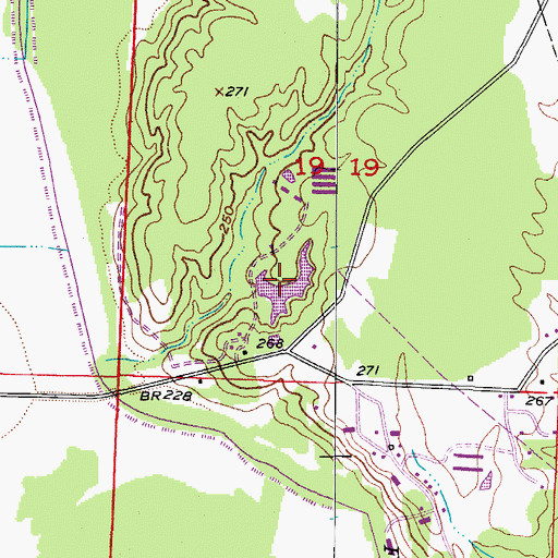 Topographic Map of Cargill Pond, AR