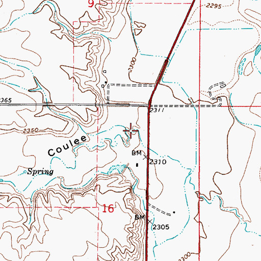 Topographic Map of Negro Coulee, MT