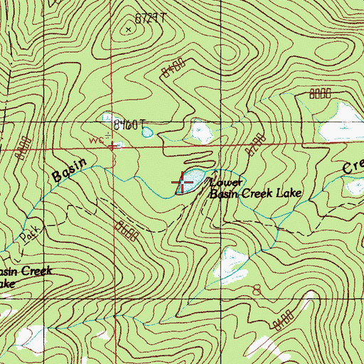 Topographic Map of Lower Basin Creek Lake, MT