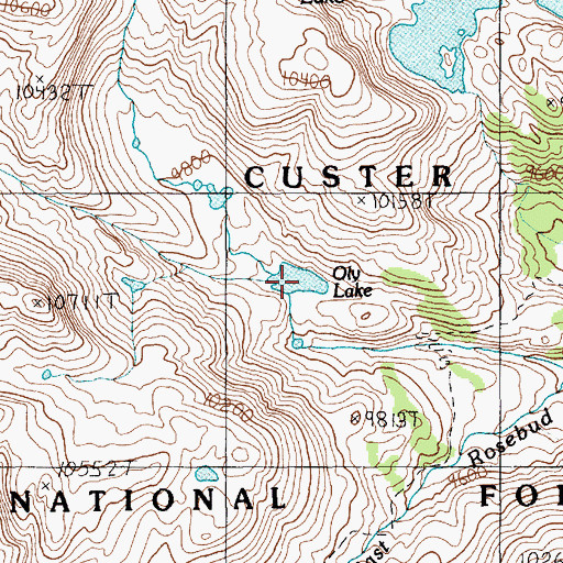 Topographic Map of Oly Lake, MT