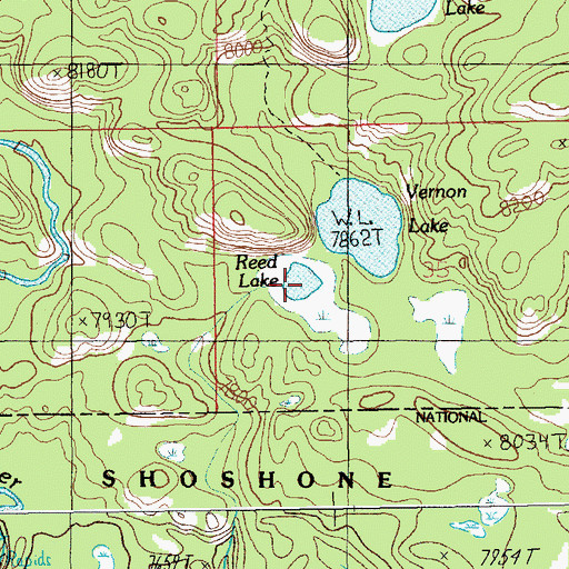 Topographic Map of Reed Lake, MT