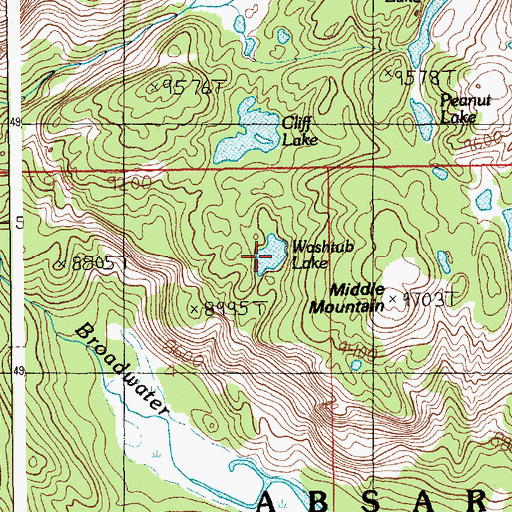 Topographic Map of Washtub Lake, MT
