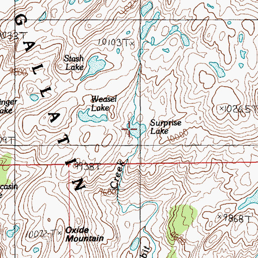 Topographic Map of Surprise Lake, MT
