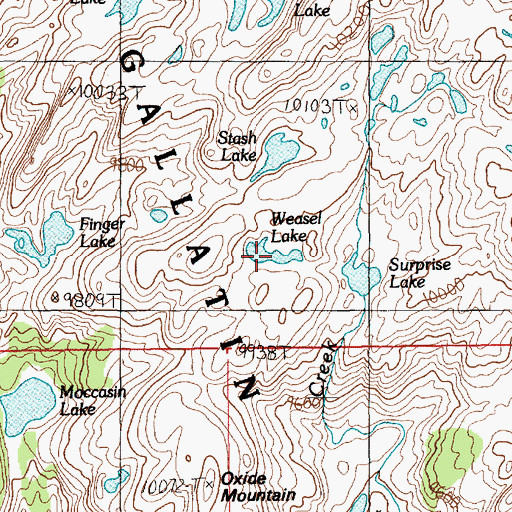 Topographic Map of Weasel Lake, MT