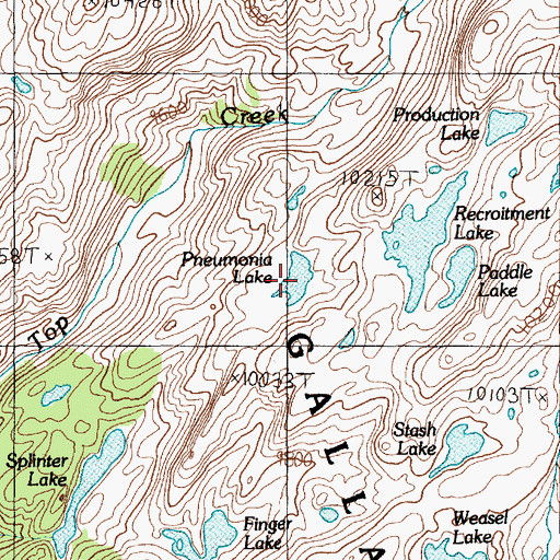 Topographic Map of Pneumonia Lake, MT